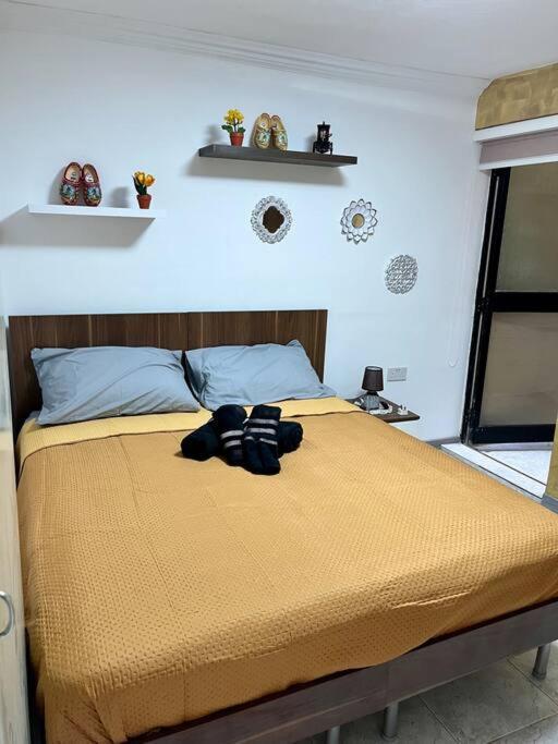 Apartment Daffodil Cosy Retreat
